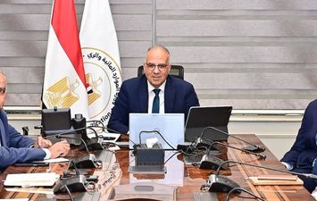 وزير الري مع الوكالة الألمانية للتعاون الدولي