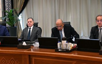 وزير الكهرباء في اجتماع مجلس الوزراء 