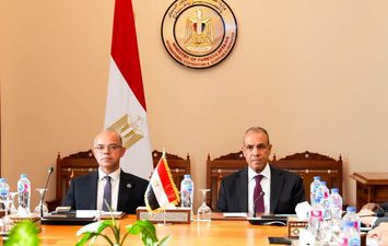 وزيرا الخارجية والاستثمار