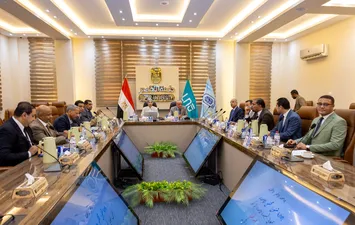 الفاعلية 