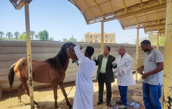 الفحص 