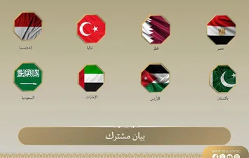 مصر ودول عربية وإسلامية تدين رفض إسرائيل خارطة طريق