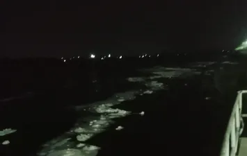 الصورة المتداولة 