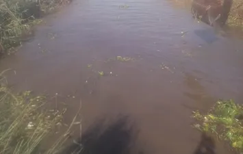 جانب من الاستجابة 