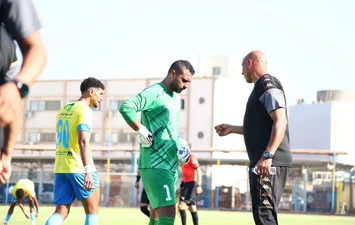 مالية كفر الزيات وطنطا 
