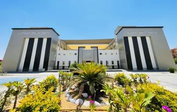 جامعة الأقصر الأهلية 
