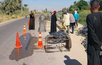 الفاعلية 