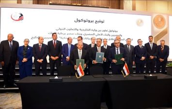 البنك المركزي المصري 