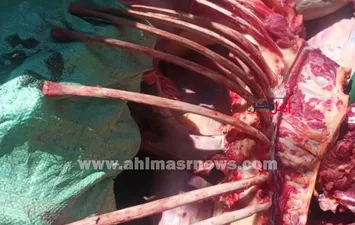 المضبوطات