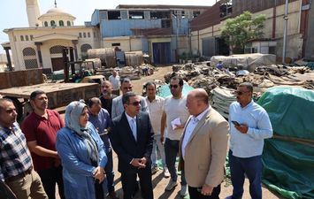 المنوفية 