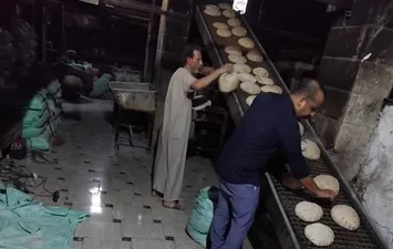 جانب من الحملة 