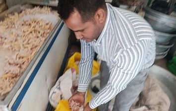 صحة القليوبية