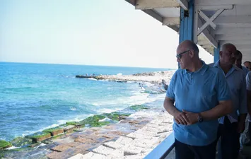 محافظ الإسكندرية 