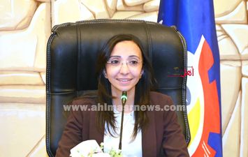 محافظ البحيرة 
