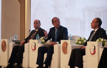 وزير المالية 