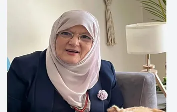 شمس البارودي