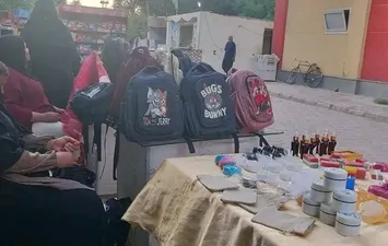 الفاعلية 