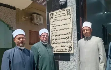 الفاعلية