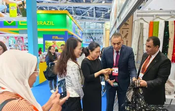 تنمية المشروعات 