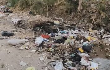 جانب من الطريق 