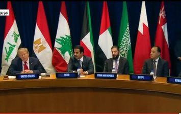جانب من الفعاليات