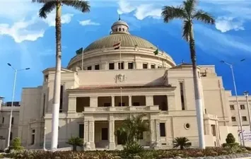 جامعة مصرية 