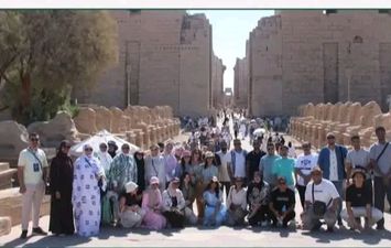 الفاعلية 