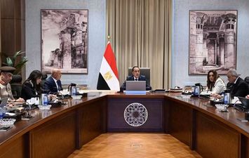 اجتماع الحكومة