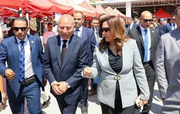 التنمية المحلية 
