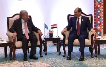 الرئيس السيسي 