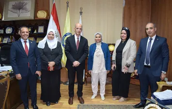 المشروعات البحثية جامعة بنى سويف 