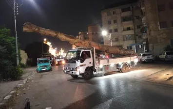 المضبوطات