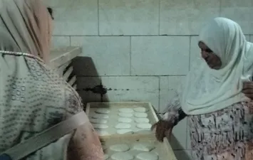 المنوفية 