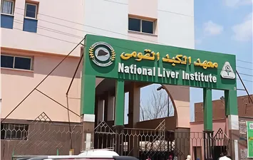المنوفية 