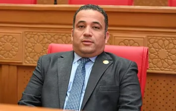 النائب هاني شحاتة