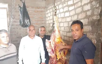 جانب من الحملة 