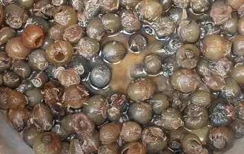 ضبط طن زيتون بمطروح 