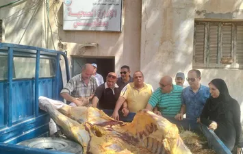  ذبيحة مصابة بمرض السٌل 