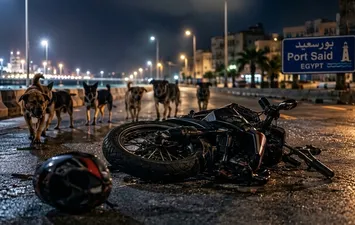 مأساة في بورسعيد.. مصرع شاب أثناء مطاردة كلاب الشوارع لدراجته النارية وتصاعد المطالبات بحل الأزمة