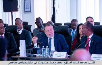 محافظ البنك المركزي 