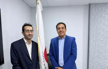 مينا