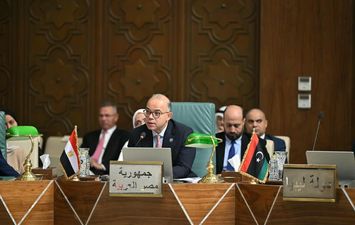 وزير الاستثمار