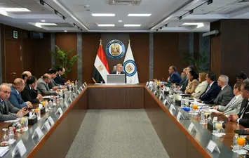 وزير البترول 