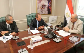 وزير الكهرباء