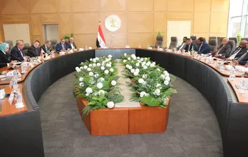 وزير الكهرباء 
