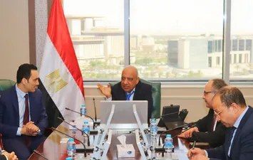 وزير الكهرباء 