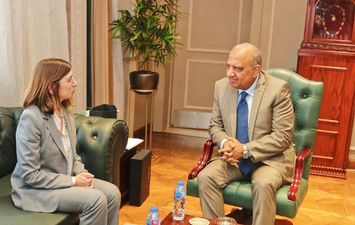 وزير الكهرباء 