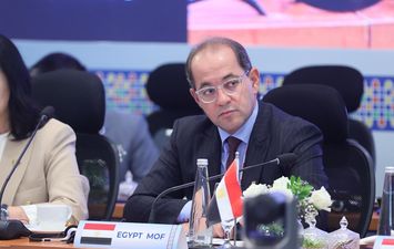 وزير المالية 