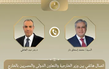 وزيرا خارجية مصر وباكستان