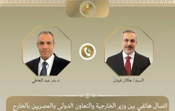 وزيرا خارجية مصر وتركيا